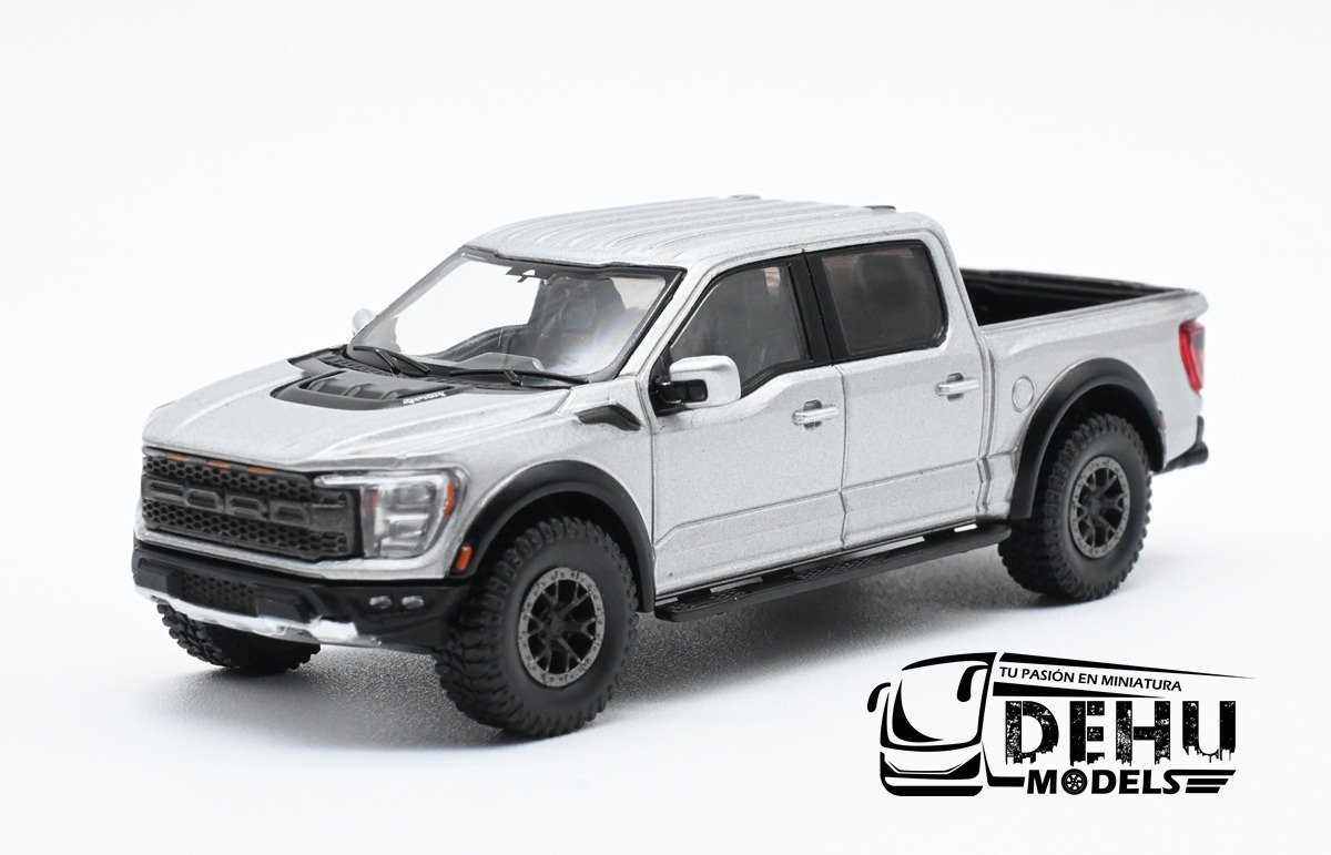 F1004 Ford F-150 Raptor Pick-Up, Gris (1)