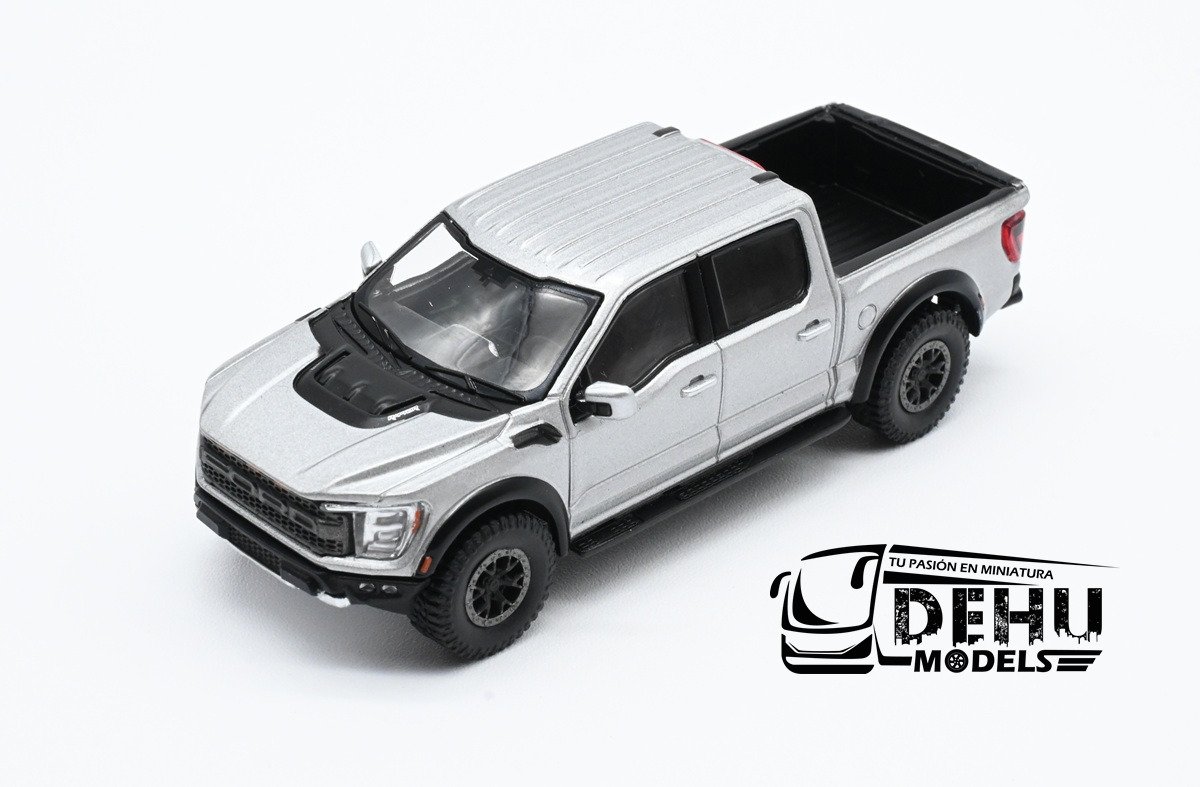 F1004 Ford F-150 Raptor Pick-Up, Gris (2)